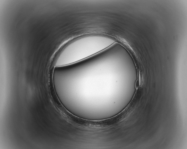 X0000087610531200704271102