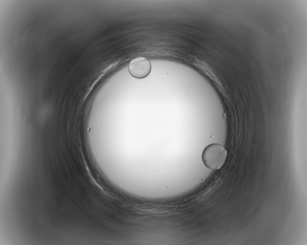 X0000087610534200704271102