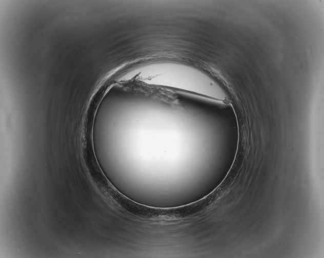 X0000087610536200704271102