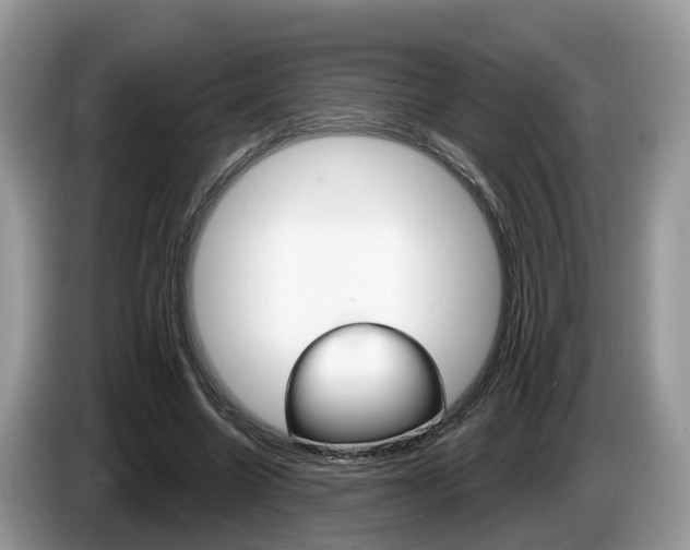 X0000087610538200704271102