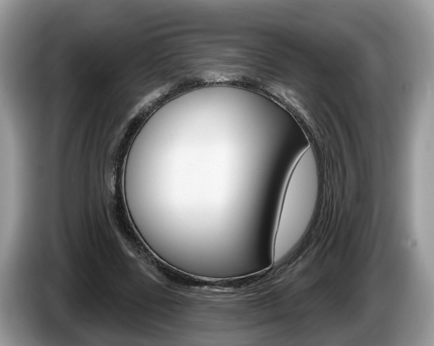 X0000087610539200704271102