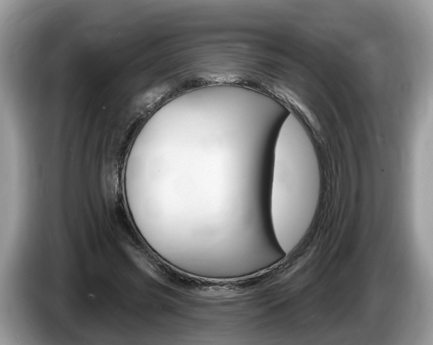 X0000087610541200704271102