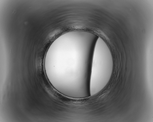 X0000087610542200704271102