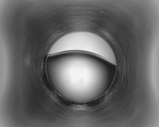 X0000087610548200704271102