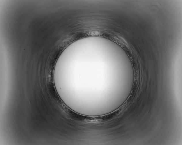X0000087610553200704271103