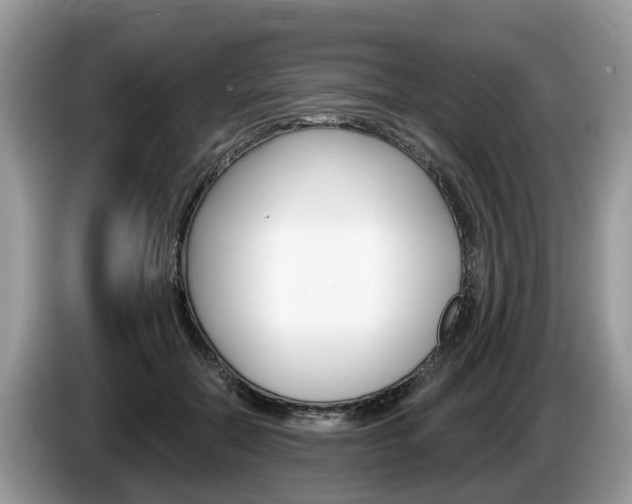X0000087610554200704271103