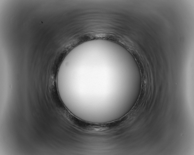 X0000087610555200704271103