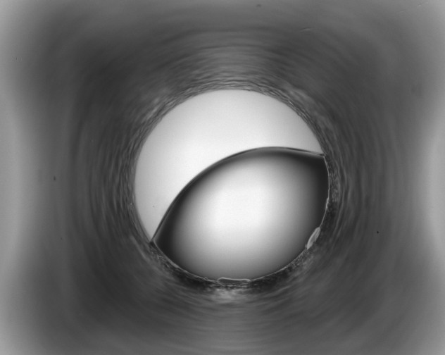 X0000087610560200704271103