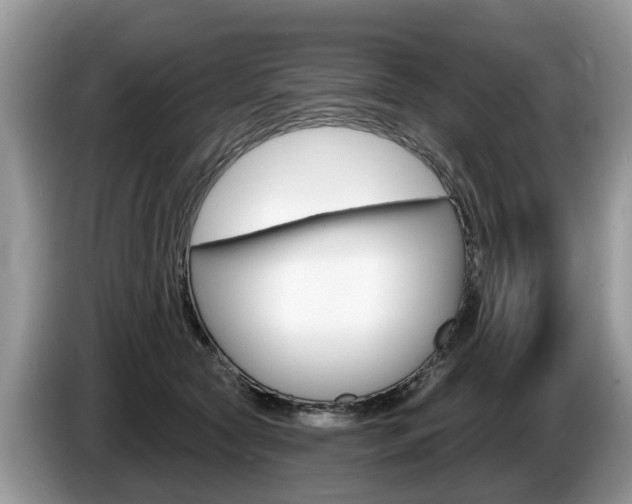X0000087610561200704271103
