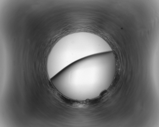 X0000087610563200704271103