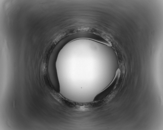 X0000087610564200704271103