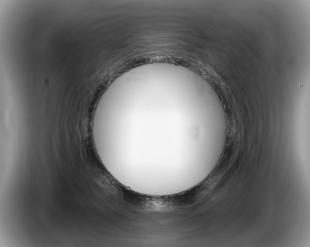 X0000087610565200704271103