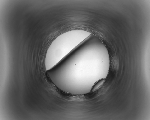 X0000087610571200704271103