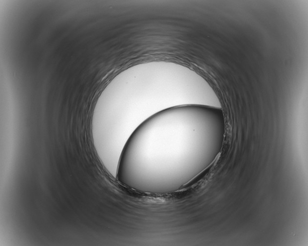 X0000087610572200704271103