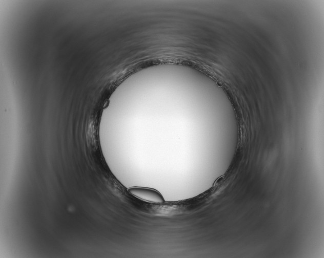 X0000087610575200704271103