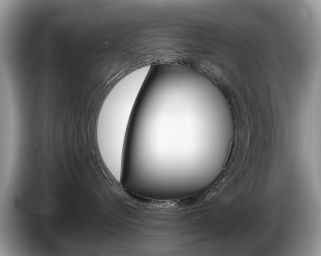 X0000087610576200704271103