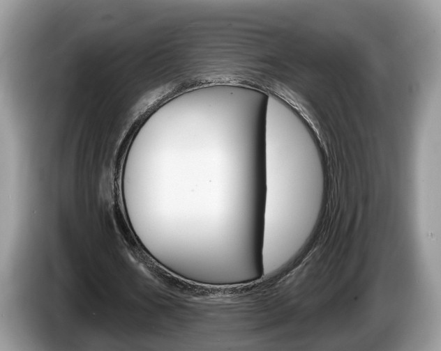X0000087610578200704271102