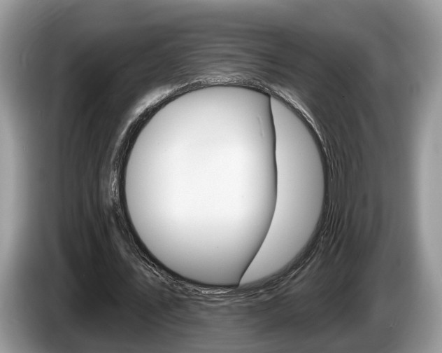 X0000087610579200704271102