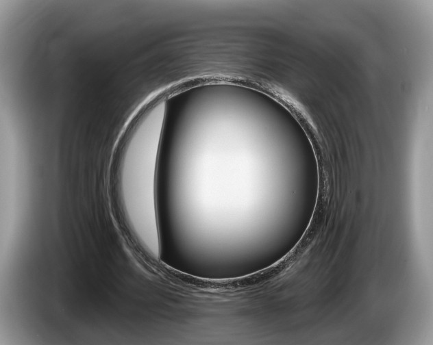 X0000087610580200704271102