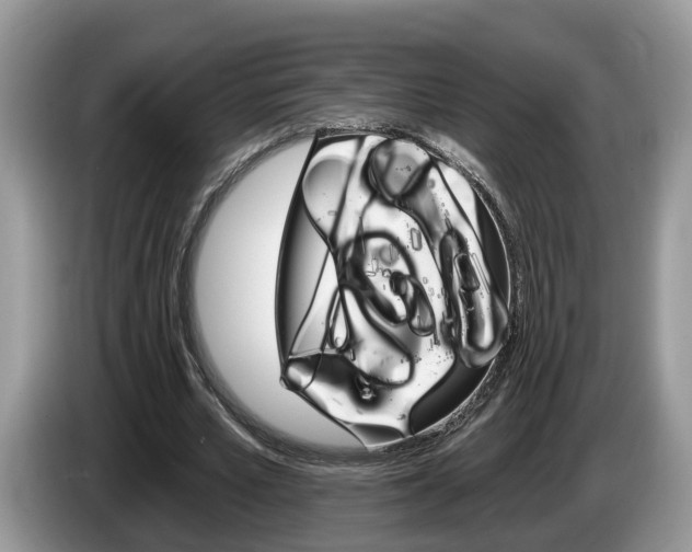 X0000087610581200704271102
