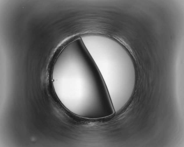 X0000087610584200704271102