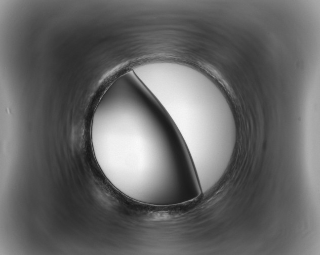 X0000087610588200704271102