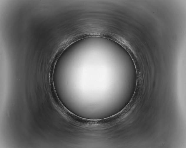 X0000087610589200704271102