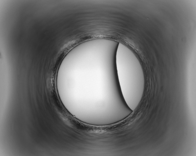 X0000087610590200704271102