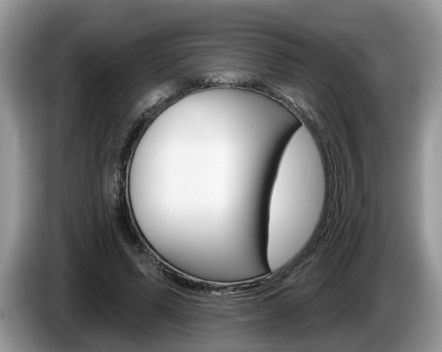 X0000087610591200704271102