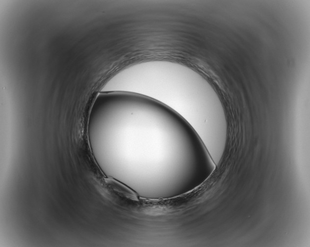 X0000087610593200704271102