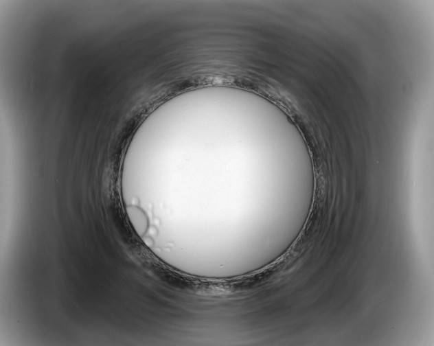 X0000087610594200704271102