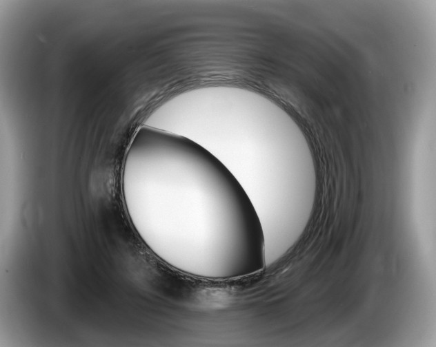 X0000087610595200704271102
