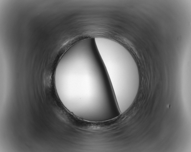 X0000087610596200704271102