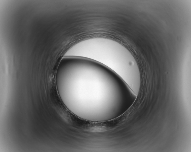 X0000087610601200704271102