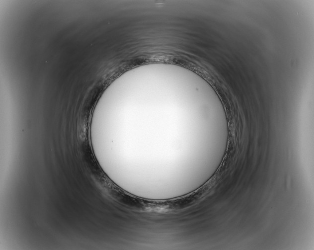 X0000087610602200704271102