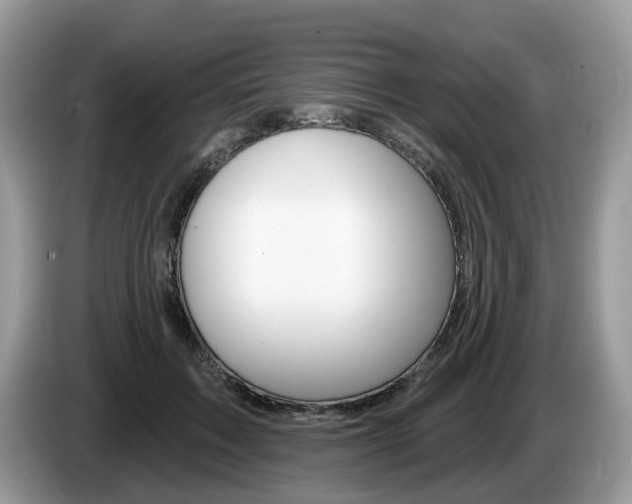 X0000087610603200704271102