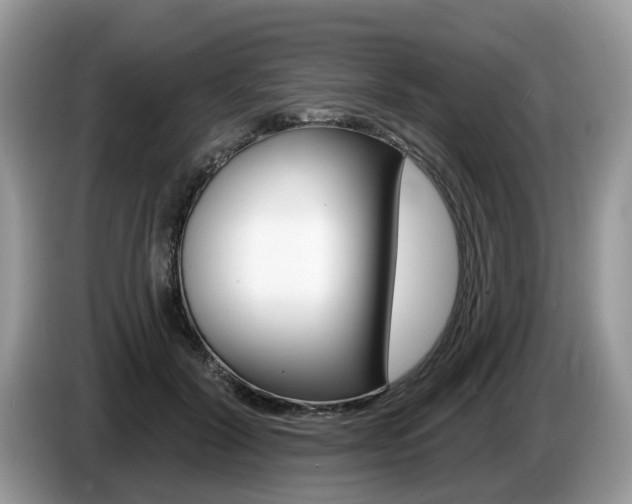 X0000087610604200704271102