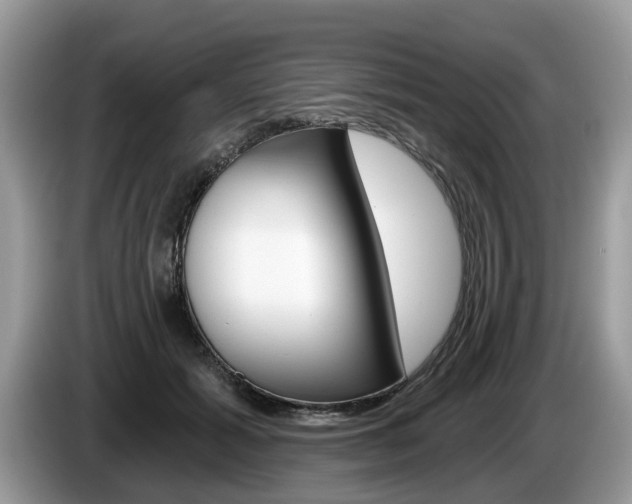 X0000087610605200704271102