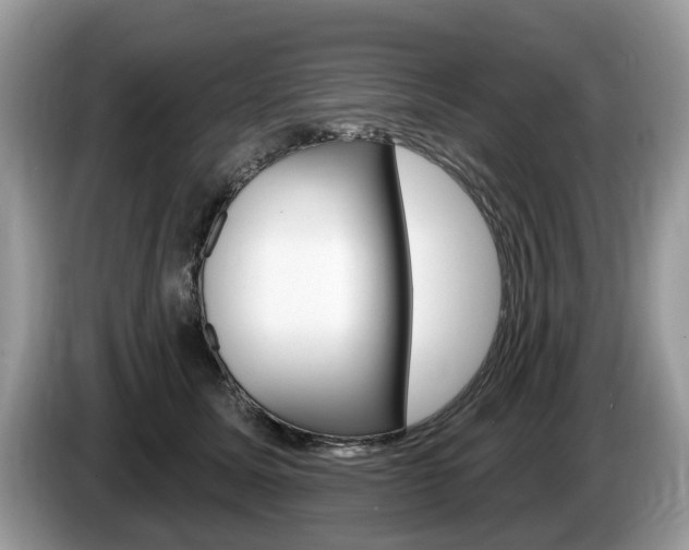 X0000087610611200704271102