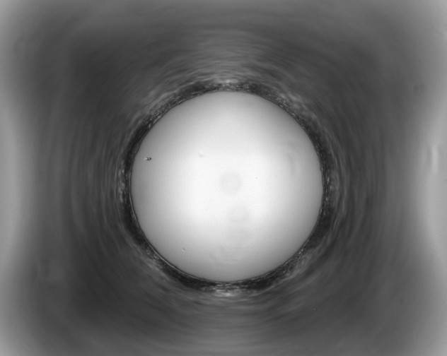 X0000087610612200704271102