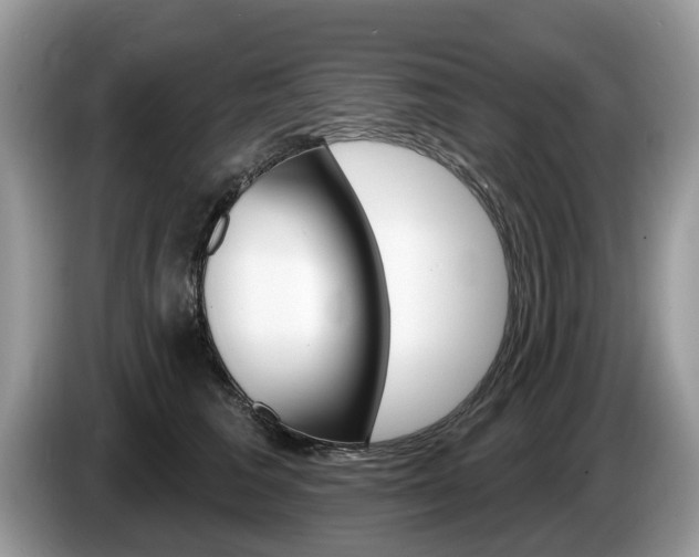 X0000087610613200704271102