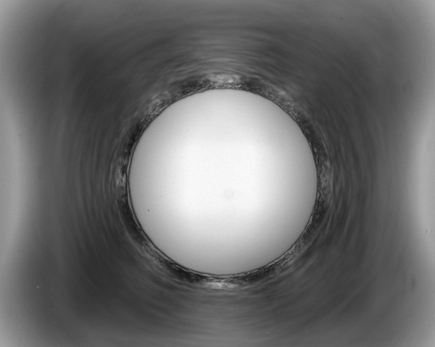 X0000087610614200704271102