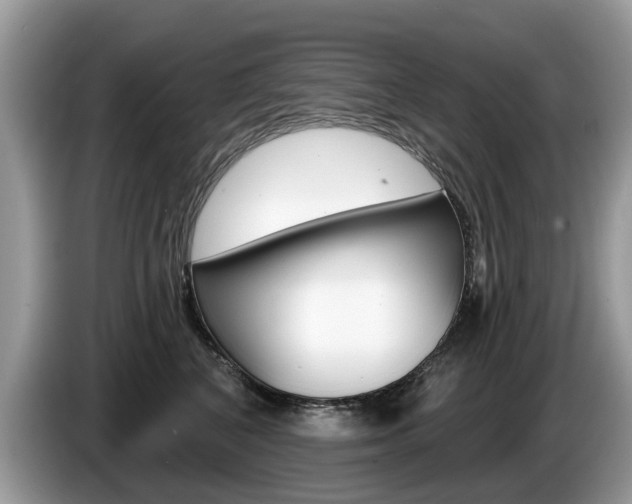X0000087610616200704271102