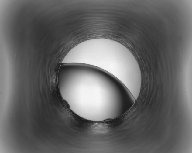 X0000087610617200704271102