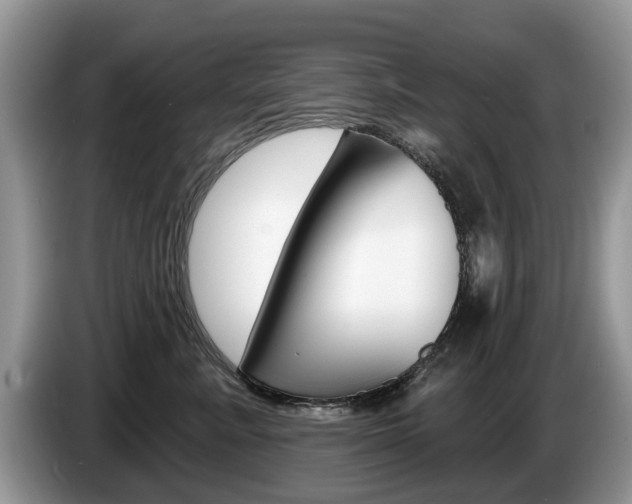 X0000087610619200704271102