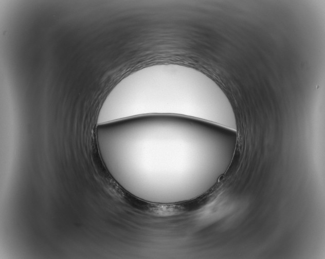 X0000087610623200704271102