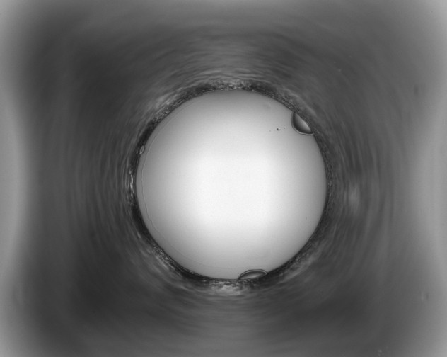 X0000087610624200704271102