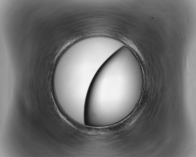 X0000087610625200704271101