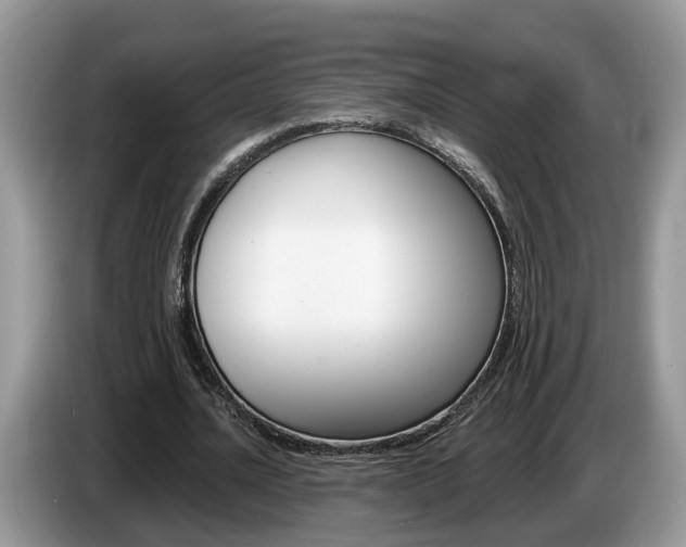 X0000087610628200704271101