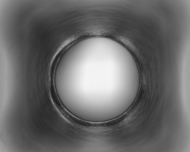X0000087610630200704271101